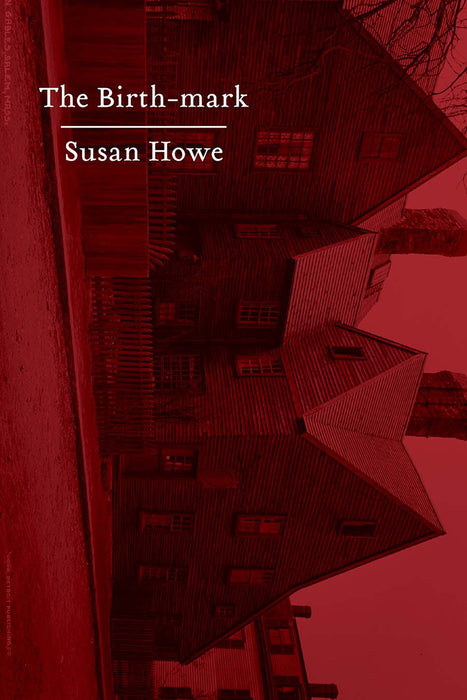 The Birth-mark: Essays Susan Howe