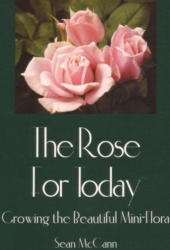 The Rose for Today Growing the Beautiful Mini-flora Sean McCann