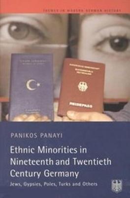 Ethnic Minorities in Nineteenth and Twentieth Century Germany: Jews, Gypsies, Poles, Turks and Others: Themes in Modern German History  Panikos Panayi