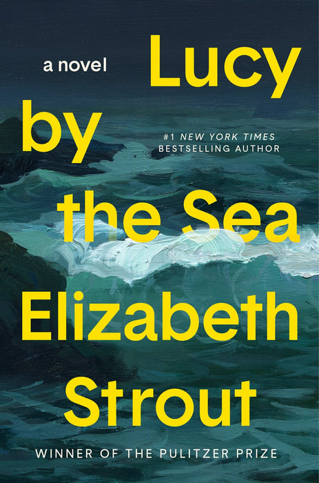 Amgash #4 Lucy by the Sea  Elizabeth Strout
