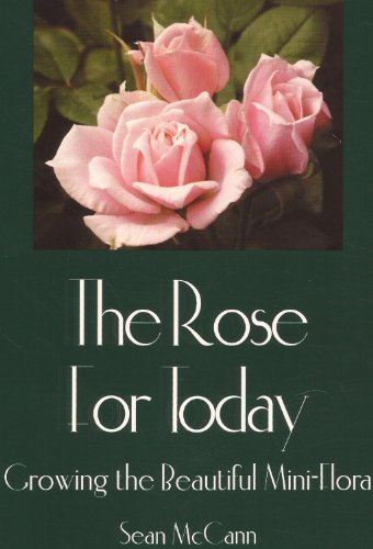 The Rose for Today Growing the Beautiful Mini-flora  Sean McCann